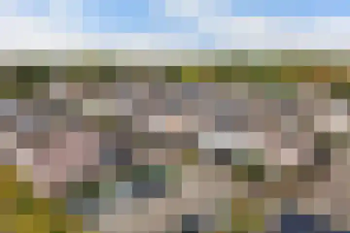 Horst 36 60 Lelystad thumbnail 44