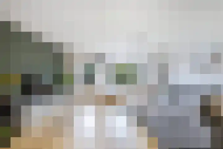 Horst 36 60 Lelystad thumbnail 8