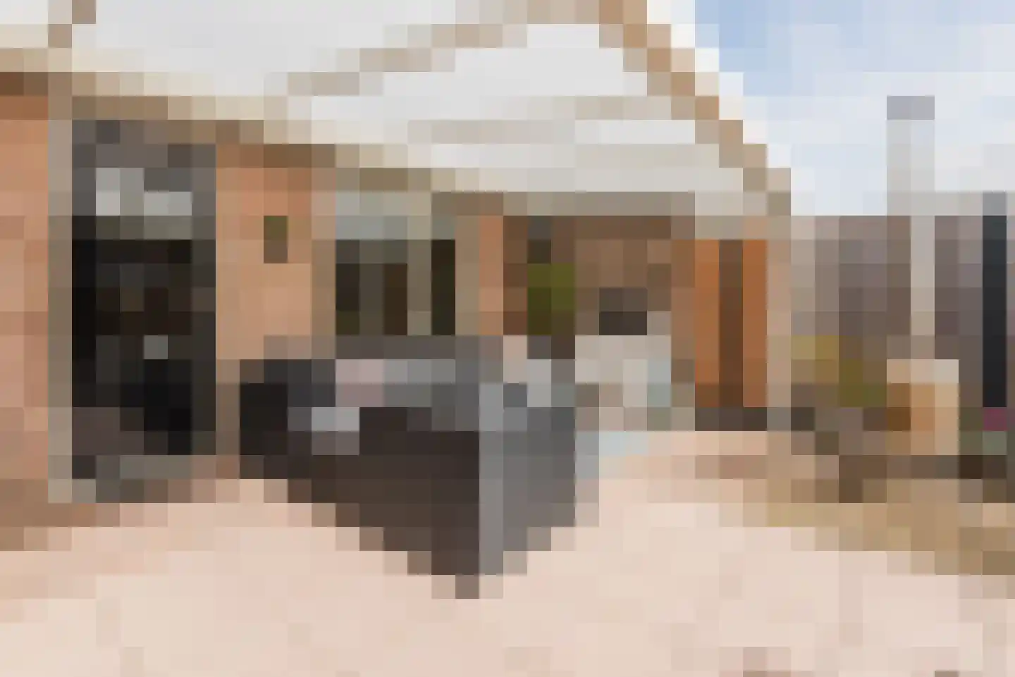 Horst 37 2 Lelystad thumbnail 40