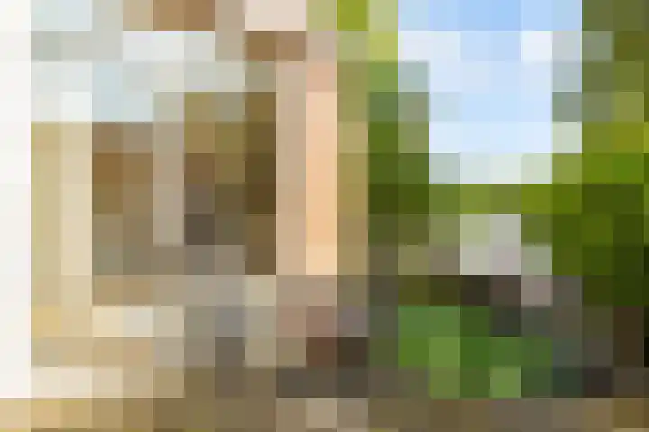 Horst 37 31 Lelystad thumbnail 33