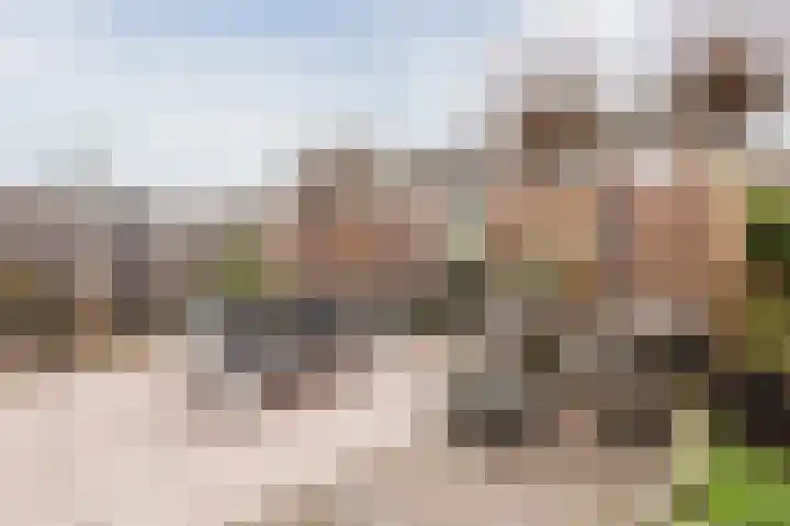 Horst 37 37 2 Lelystad thumbnail 43