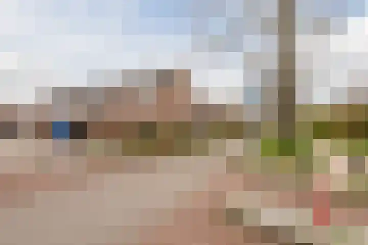 Horst 37 37 2 Lelystad thumbnail 48