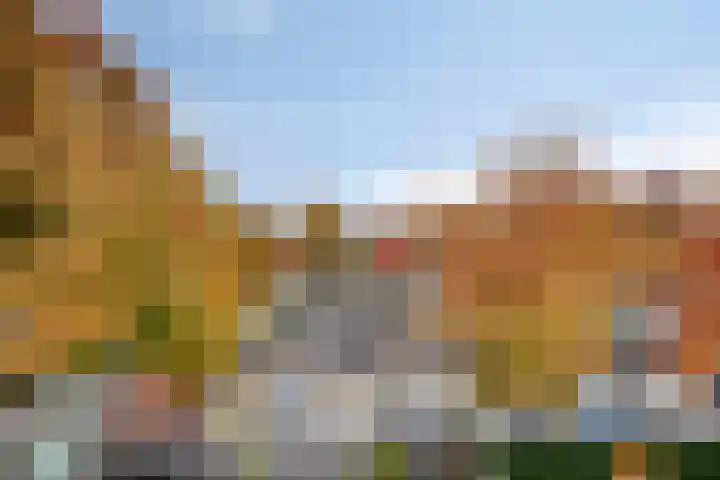 Horst 46 Veldhoven thumbnail 23