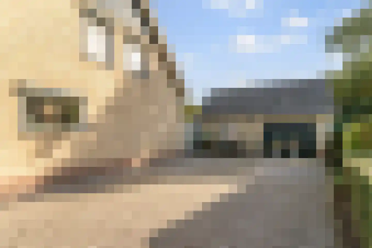 Horst 52 Gilze thumbnail 29