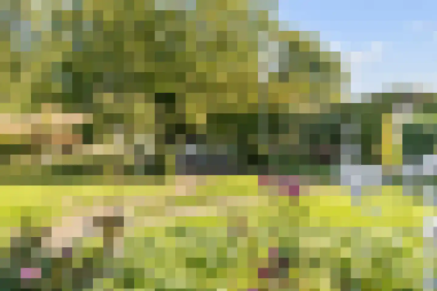 Horst 52 Gilze thumbnail 31