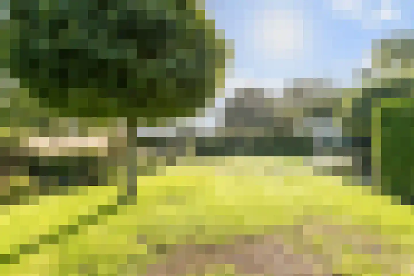 Horst 52 Gilze thumbnail 32