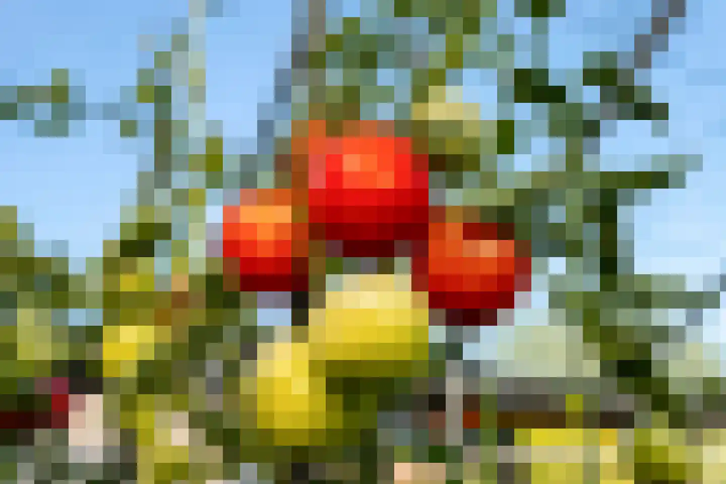 Horst 52 Gilze thumbnail 34