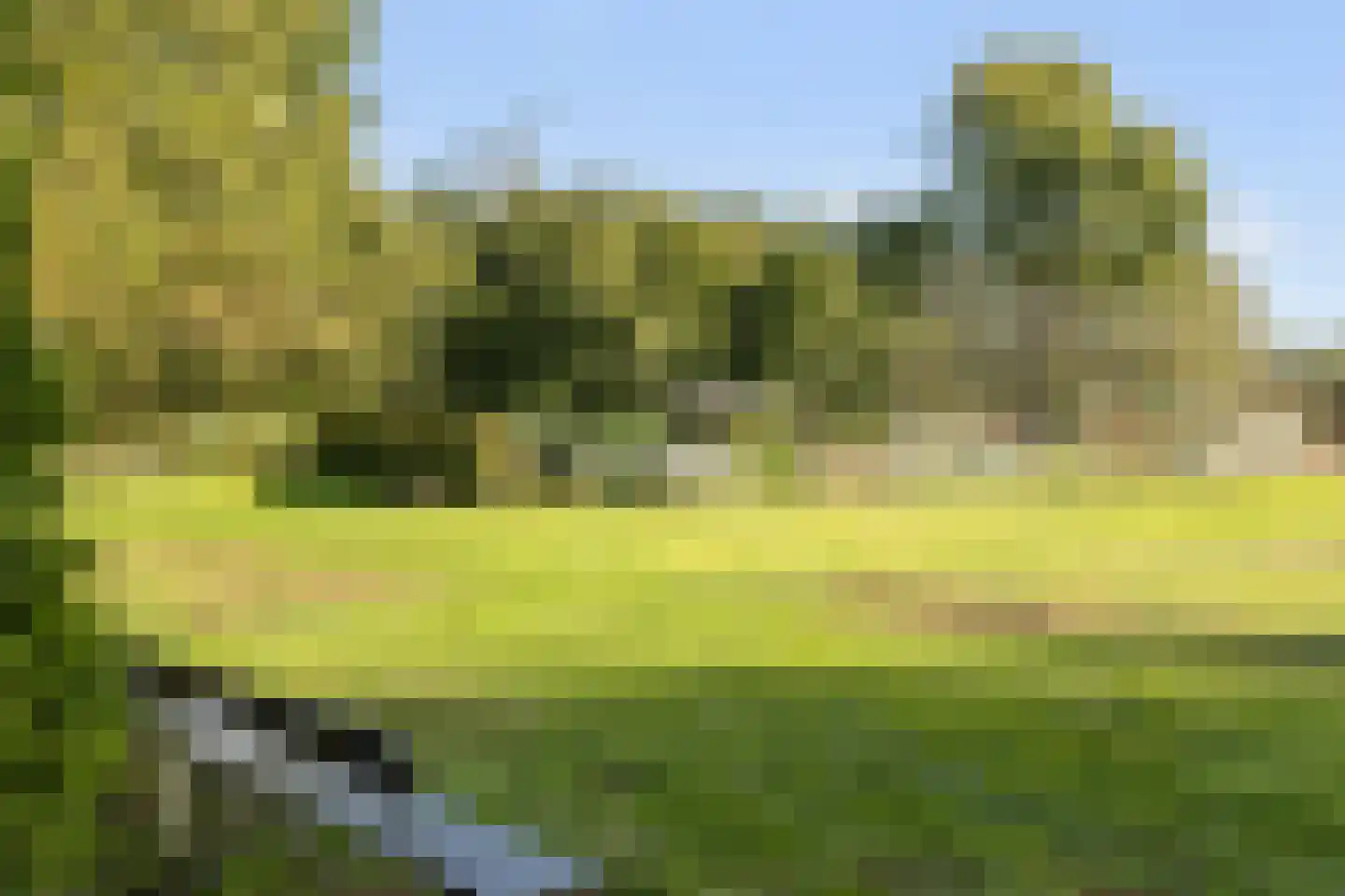 Horst 52 Gilze thumbnail 36