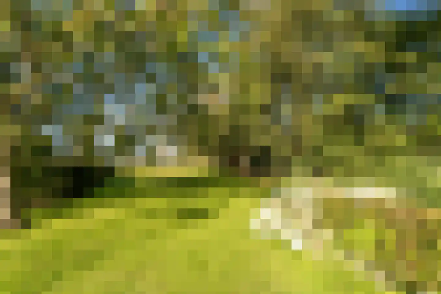 Horst 52 Gilze thumbnail 38