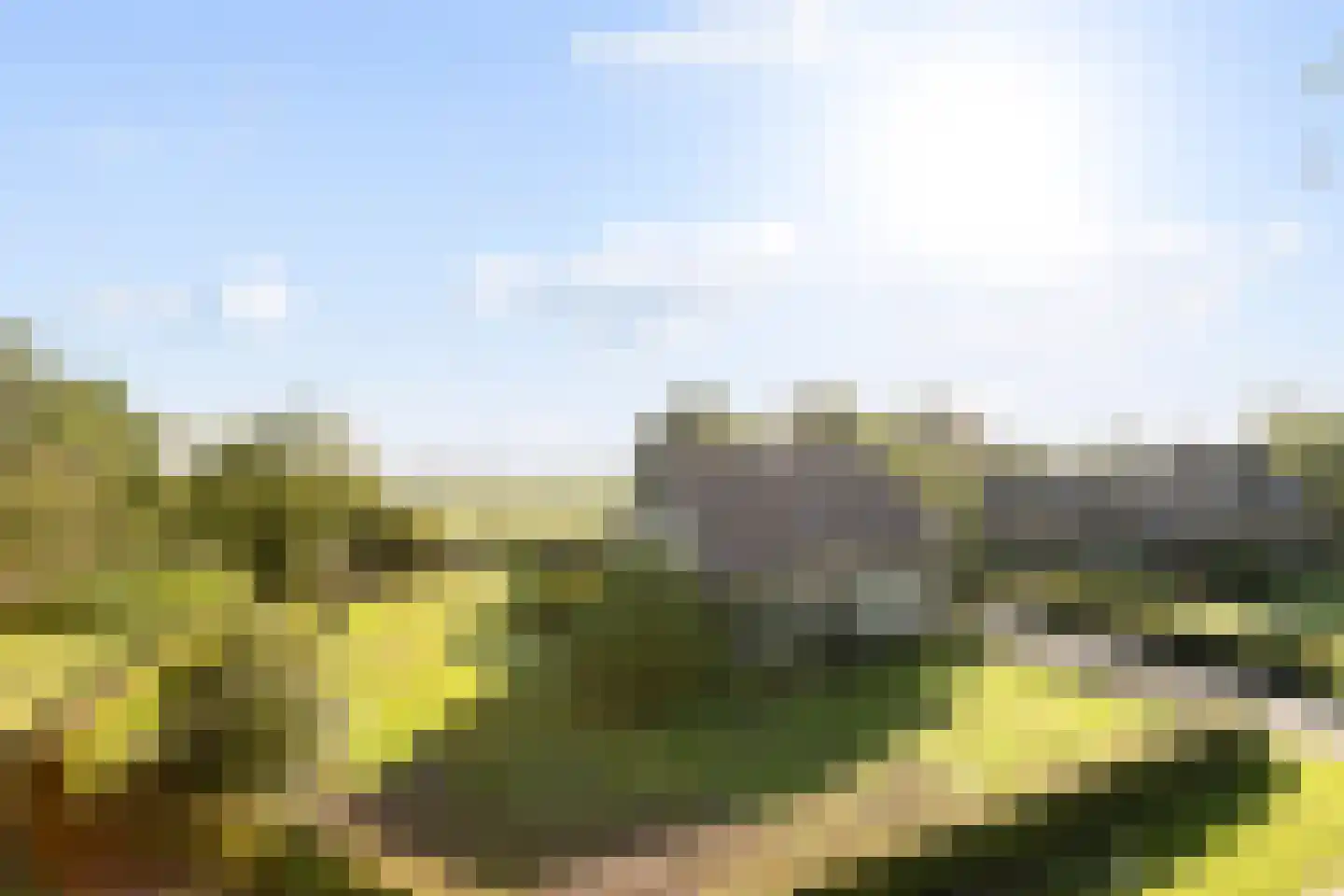 Horst 52 Gilze thumbnail 4