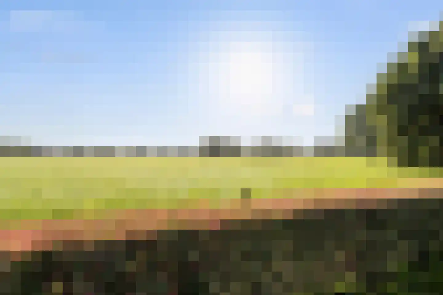 Horst 52 Gilze thumbnail 40