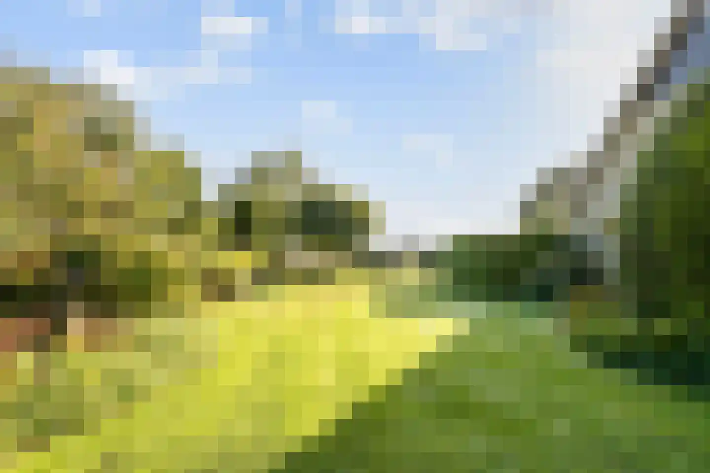 Horst 52 Gilze thumbnail 6