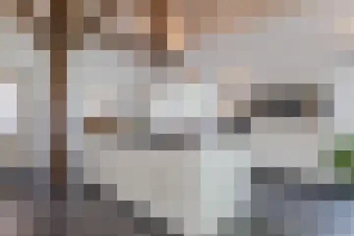 Horst 59 Gilze thumbnail 13