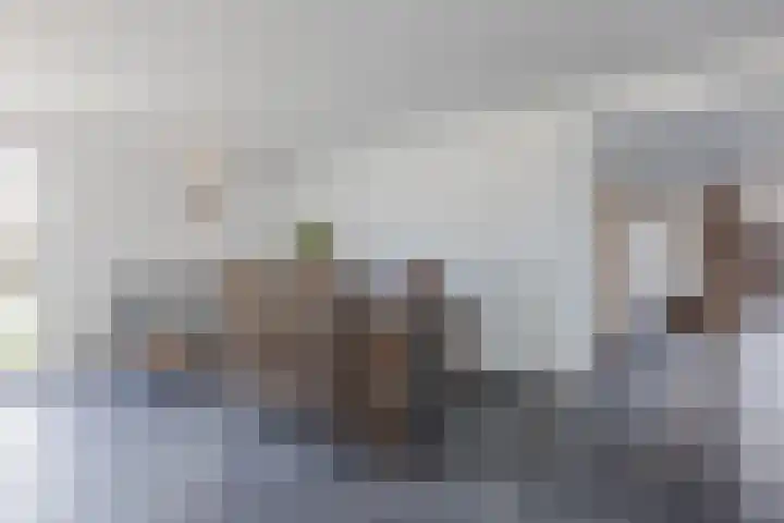 Horst 59 Gilze thumbnail 21