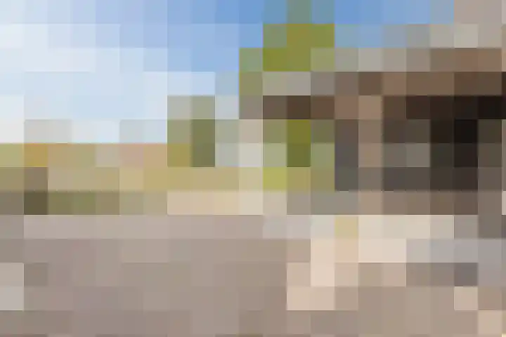 Horst 59 Gilze thumbnail 31