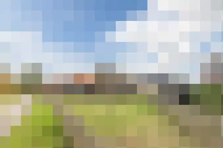 Horst 59 Gilze thumbnail 35