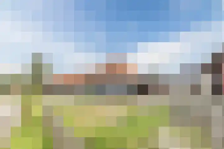 Horst 59 Gilze thumbnail 4