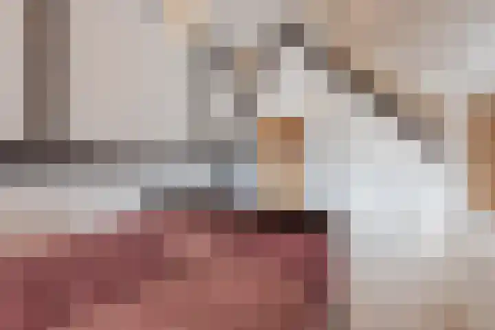 Horst 59 Gilze thumbnail 41