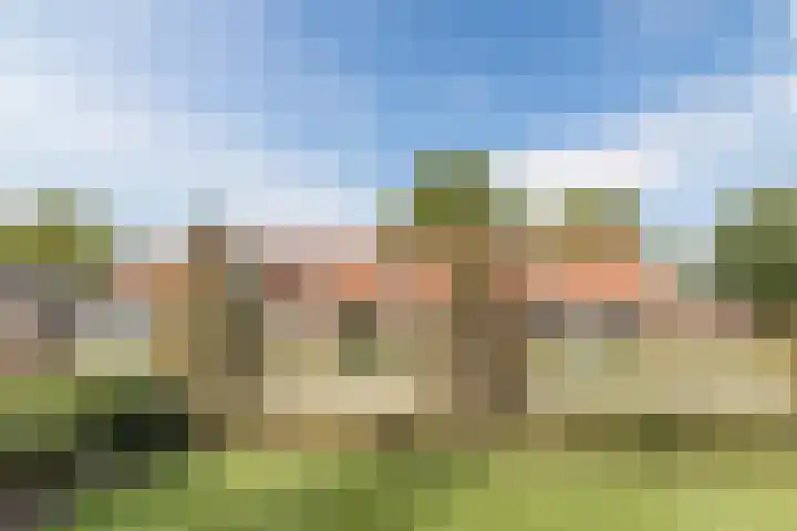 Horst 59 Gilze thumbnail 52