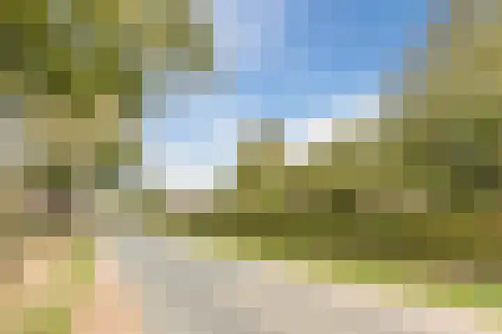 Horst 59 Gilze thumbnail 58