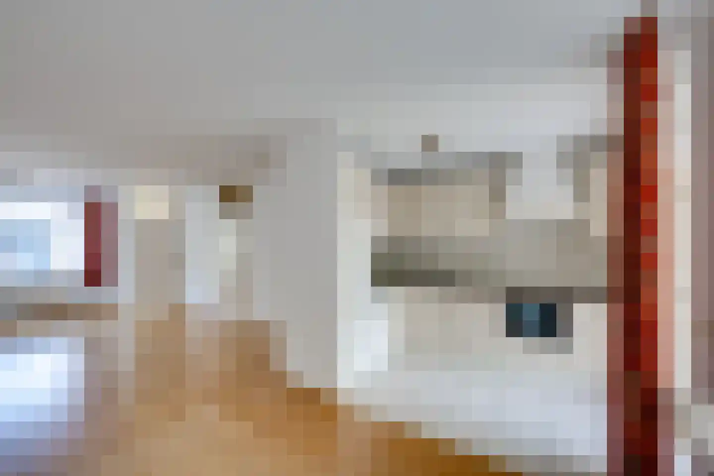 Horst 62 Chaam thumbnail 15