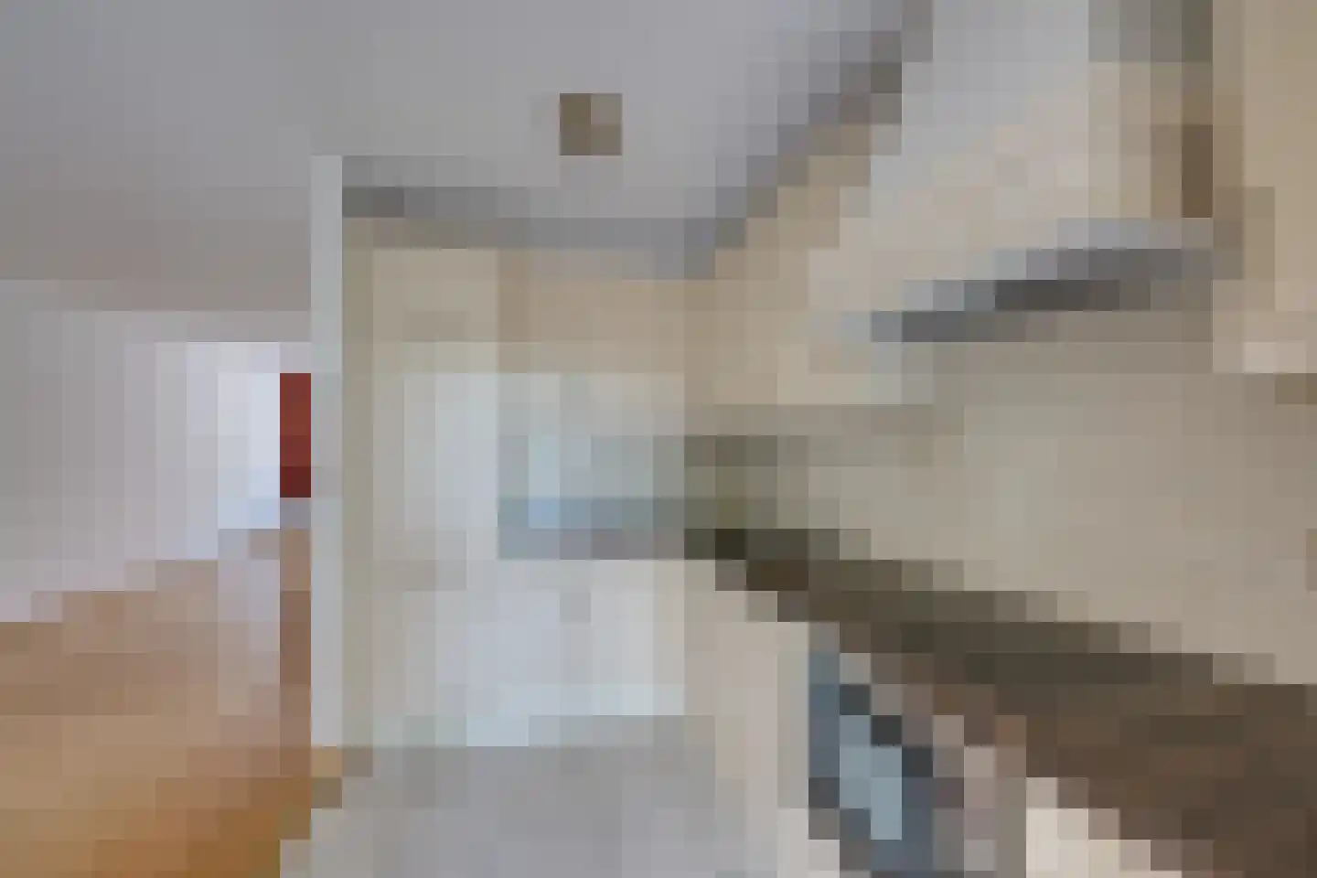 Horst 62 Chaam thumbnail 18