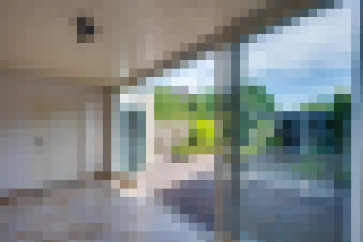 Horst 62 Chaam thumbnail 19