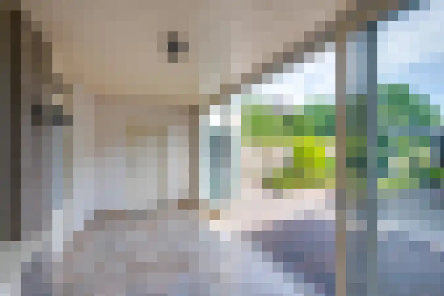 Horst 62 Chaam thumbnail 20