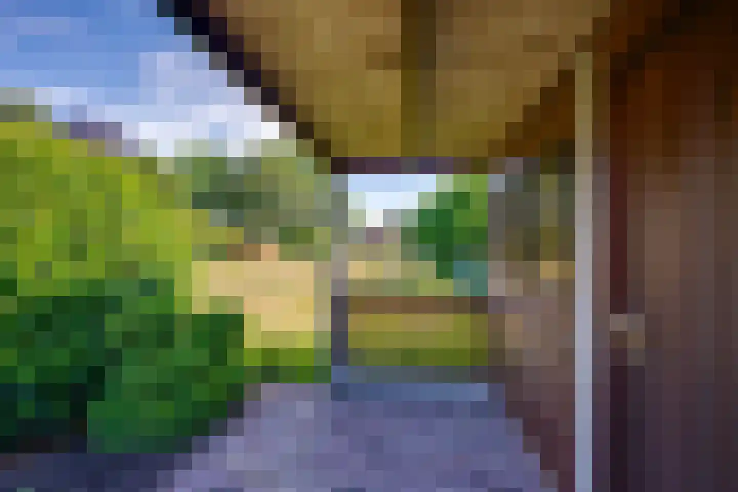 Horst 62 Chaam thumbnail 24