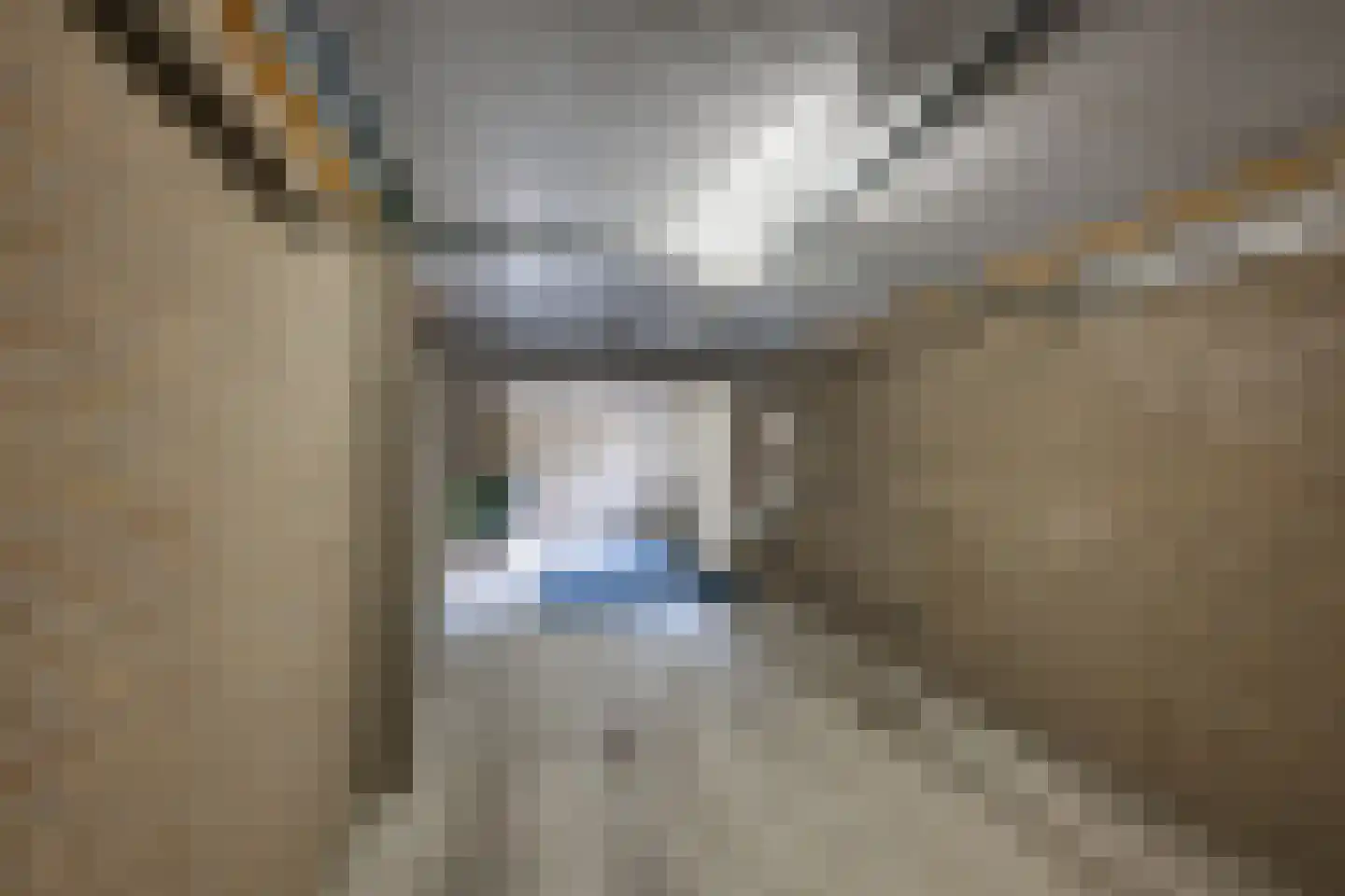 Horst 62 Chaam thumbnail 26