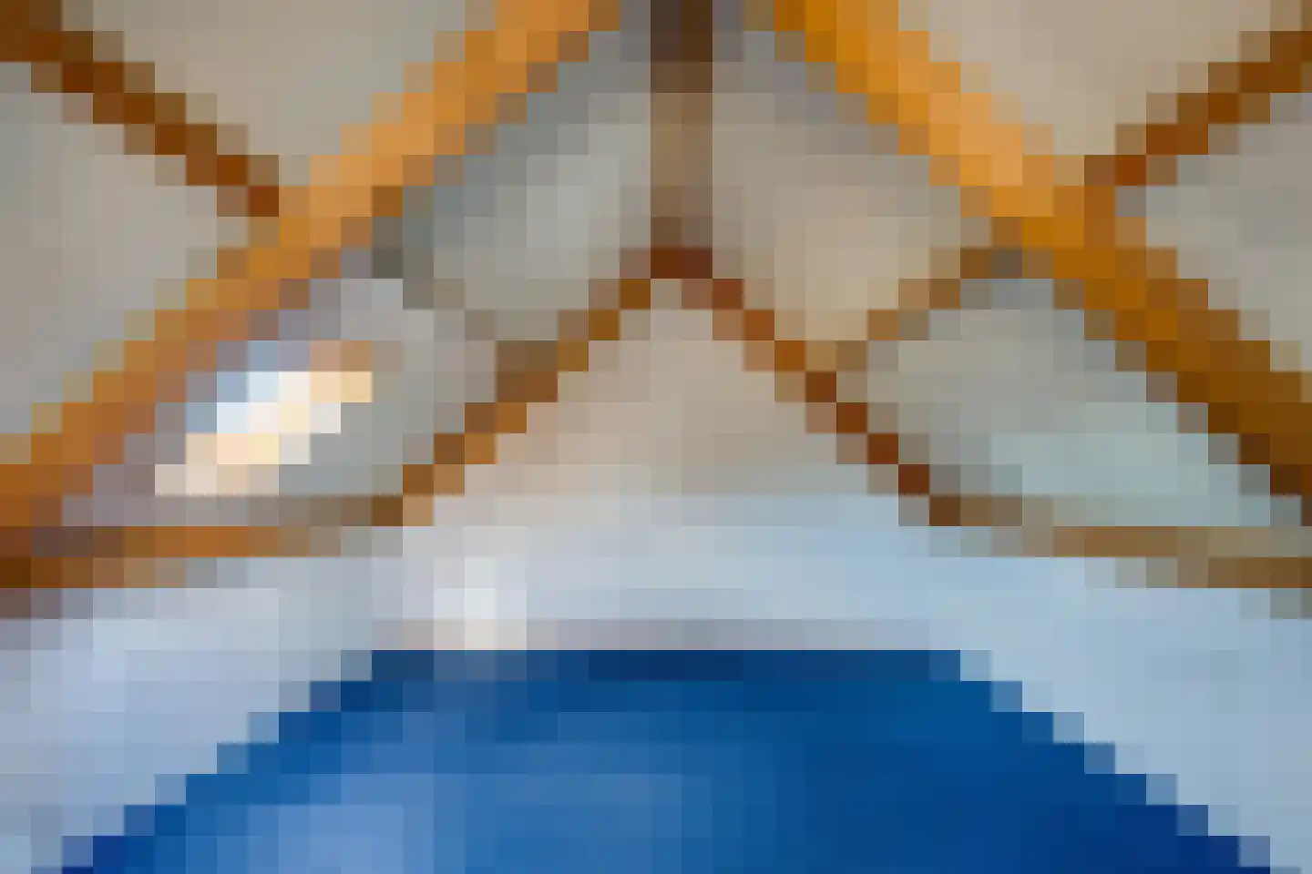 Horst 62 Chaam thumbnail 44