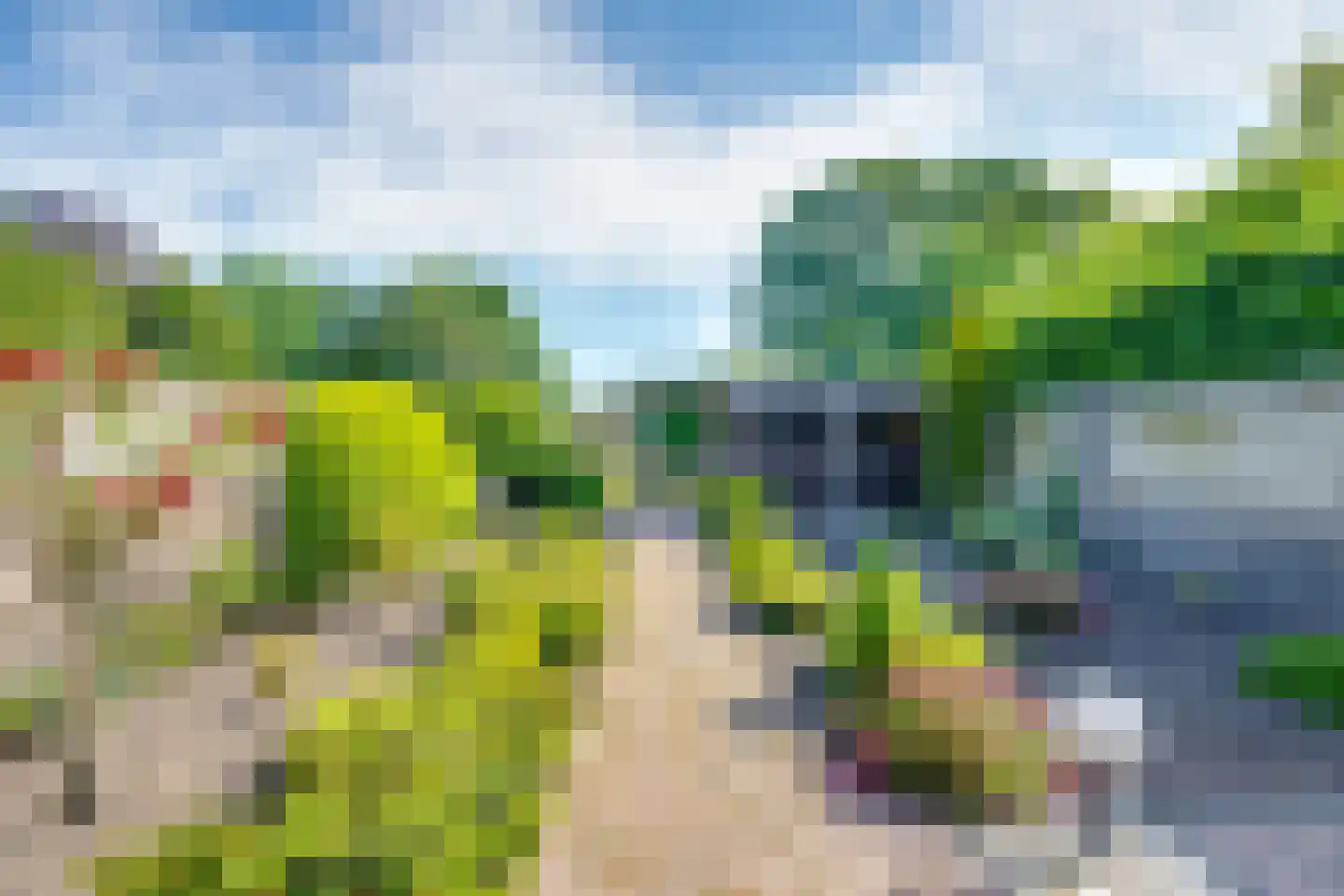 Horst 62 Chaam thumbnail 48