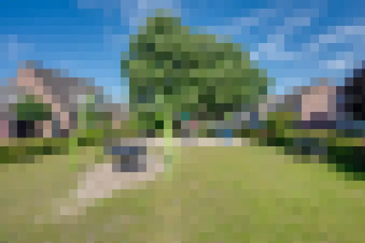 Horst 62 Chaam thumbnail 7