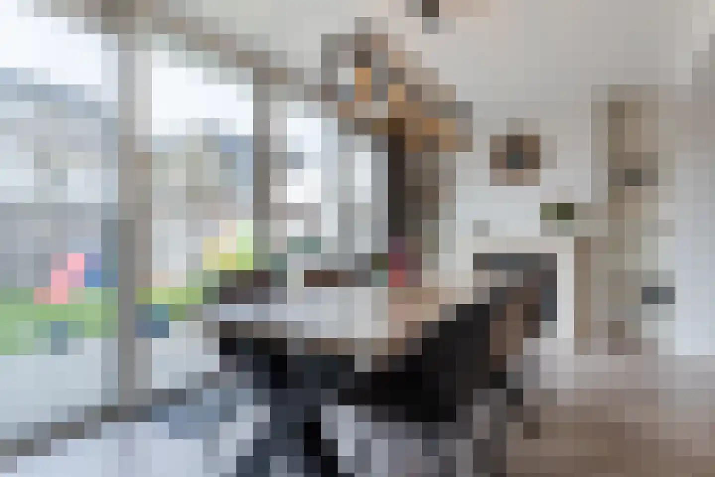 Horst 68 Gemert thumbnail 24