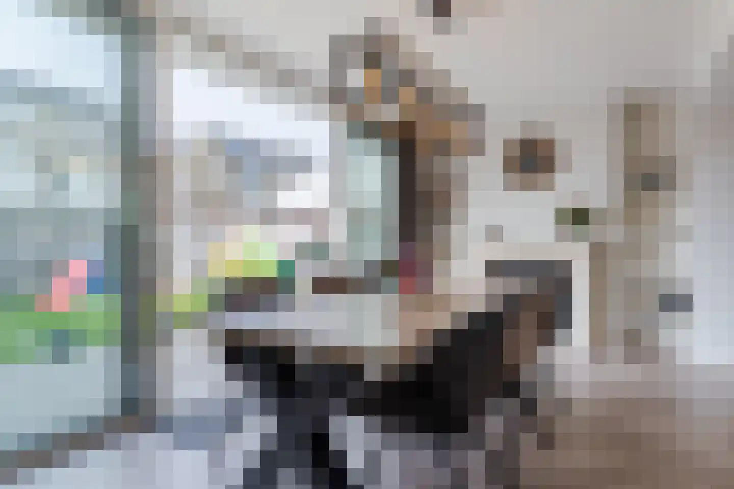 Horst 68 Gemert thumbnail 25