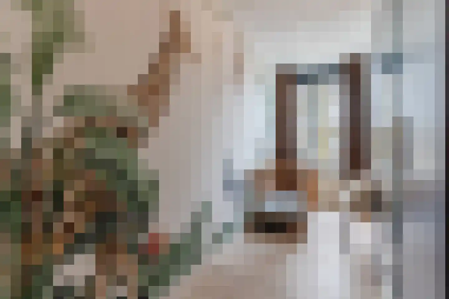 Horst 68 Gemert thumbnail 35