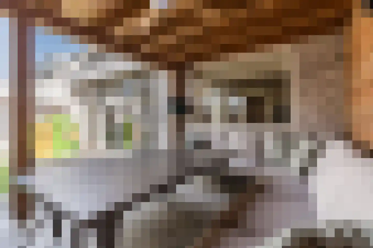 Horst 68 Gemert thumbnail 53