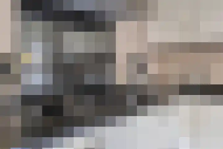 Horst 79 Gemert thumbnail 11