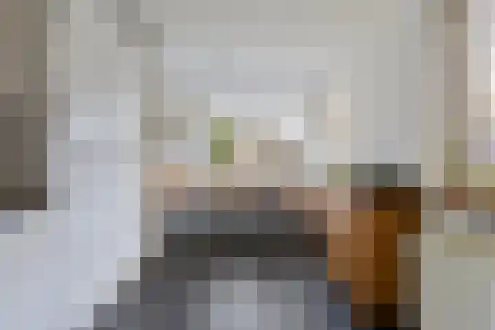 Horst 79 Gemert thumbnail 12
