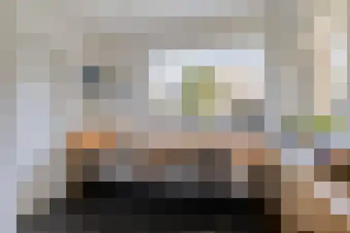 Horst 79 Gemert thumbnail 13