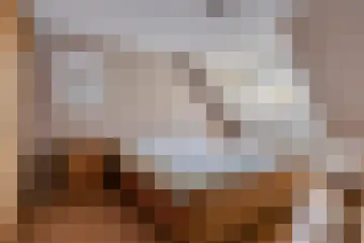 Horst 79 Gemert thumbnail 18