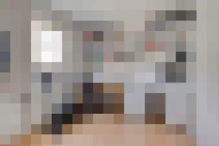 Horst 79 Gemert thumbnail 20
