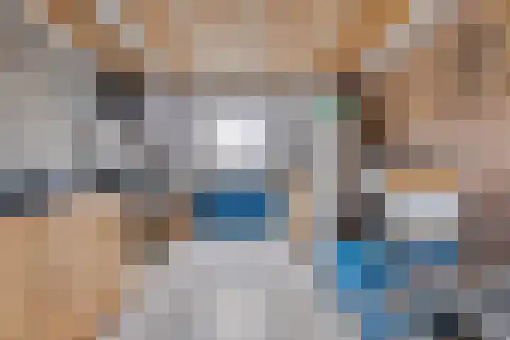 Horst 79 Gemert thumbnail 21