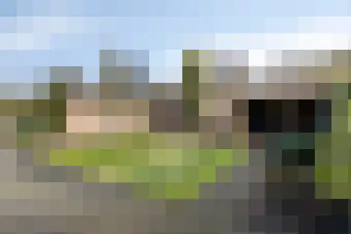 Horst 79 Gemert thumbnail 29
