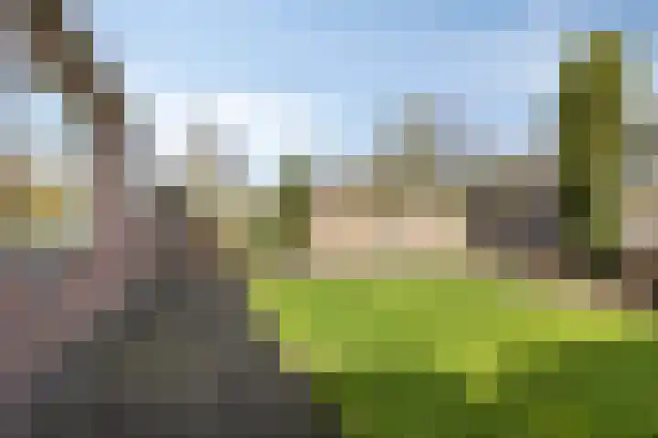 Horst 79 Gemert thumbnail 30