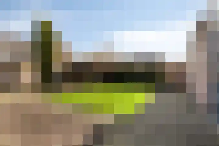 Horst 79 Gemert thumbnail 31