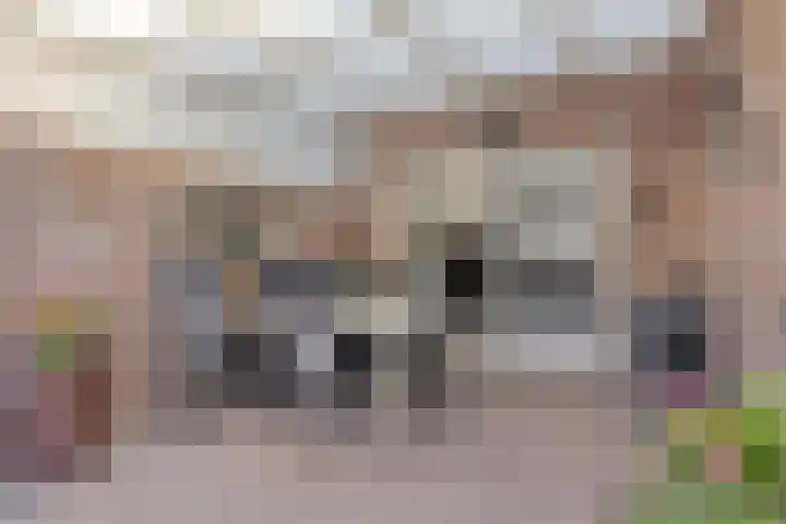 Horst 79 Gemert thumbnail 32