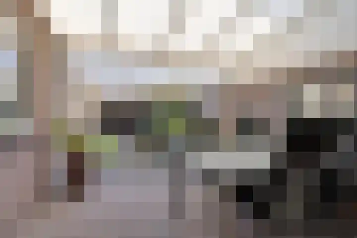 Horst 79 Gemert thumbnail 33