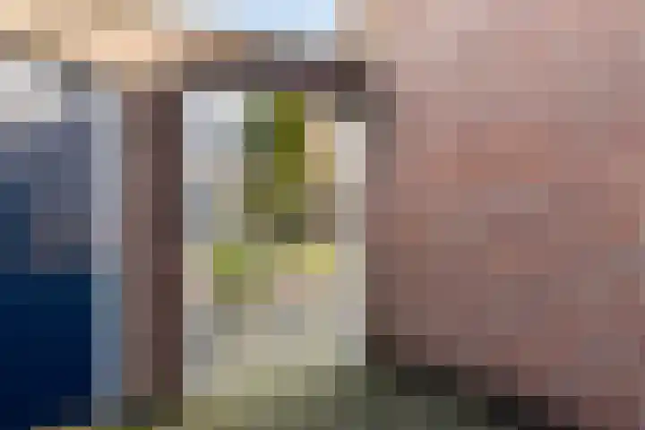 Horst 79 Gemert thumbnail 34