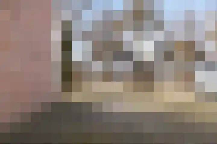 Horst 79 Gemert thumbnail 35